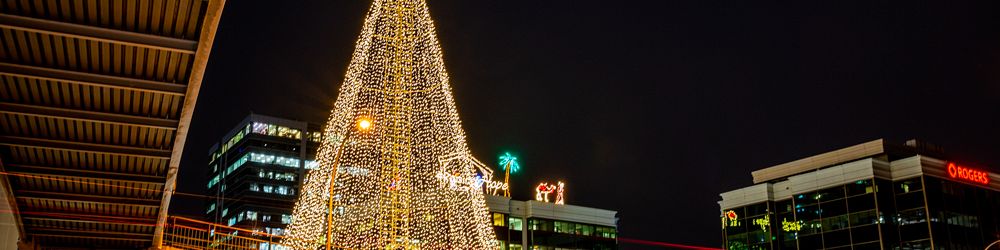 Tree of HOPE Light Up: 2023